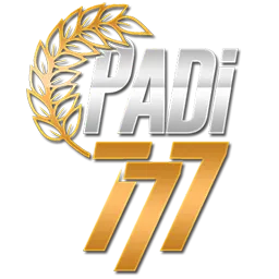 PADI777 - Pemutar Video Offline Terbaik untuk Musik & Video